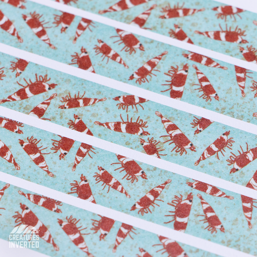 Red Bee Shrimp - Washi Tape 15mm x 10m Roll
