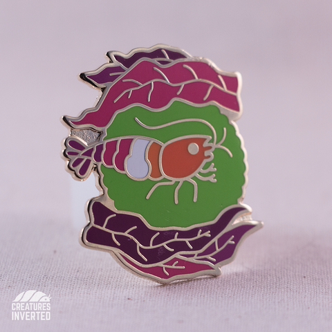 Lesbian Pride - Shrimp Hard Enamel Pin