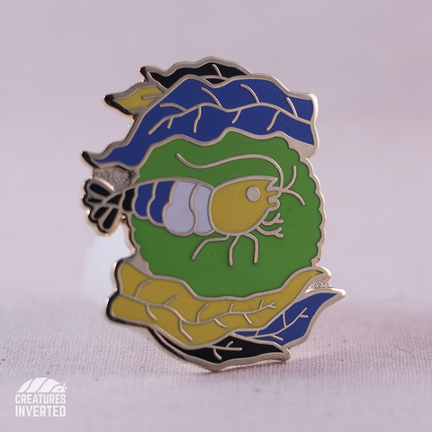 Non-Binary Pride - Shrimp Hard Enamel Pin
