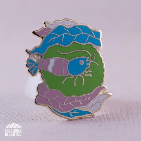 Trans Pride - Shrimp Hard Enamel Pin