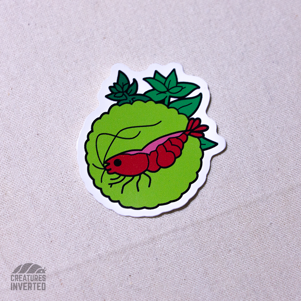 Cherry Shrimp Vinyl Sticker