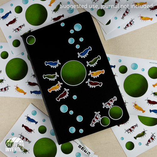 A6 Shrimp Sticker Sheet